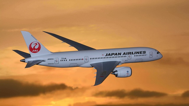 간사이 공항 입국 꿀팁