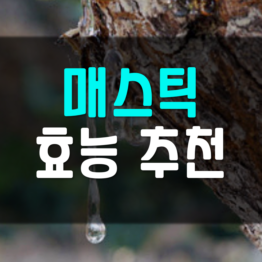  매스틱 효능 추천