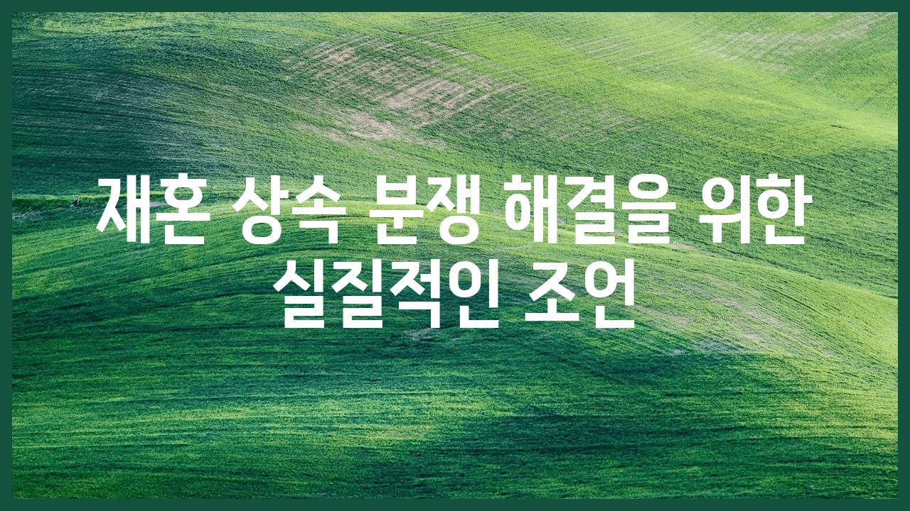 재혼 상속 분쟁 해결을 위한 실질적인 조언