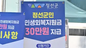 민생지원금 25만원