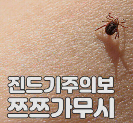  쯔쯔가무시증(병) 원인, 증상, 치료나 예방법 그리고 가을철 주의보