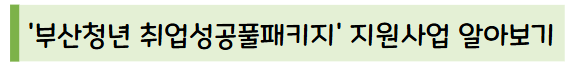 '부산청년 취업성공풀패키지' 지원사업 알아보기