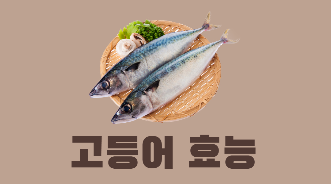 나만 모르는 고등어 효능