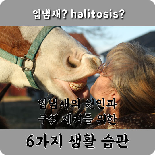  입냄새의 원인과 구취 제거를 위한 6가지 생활 습관