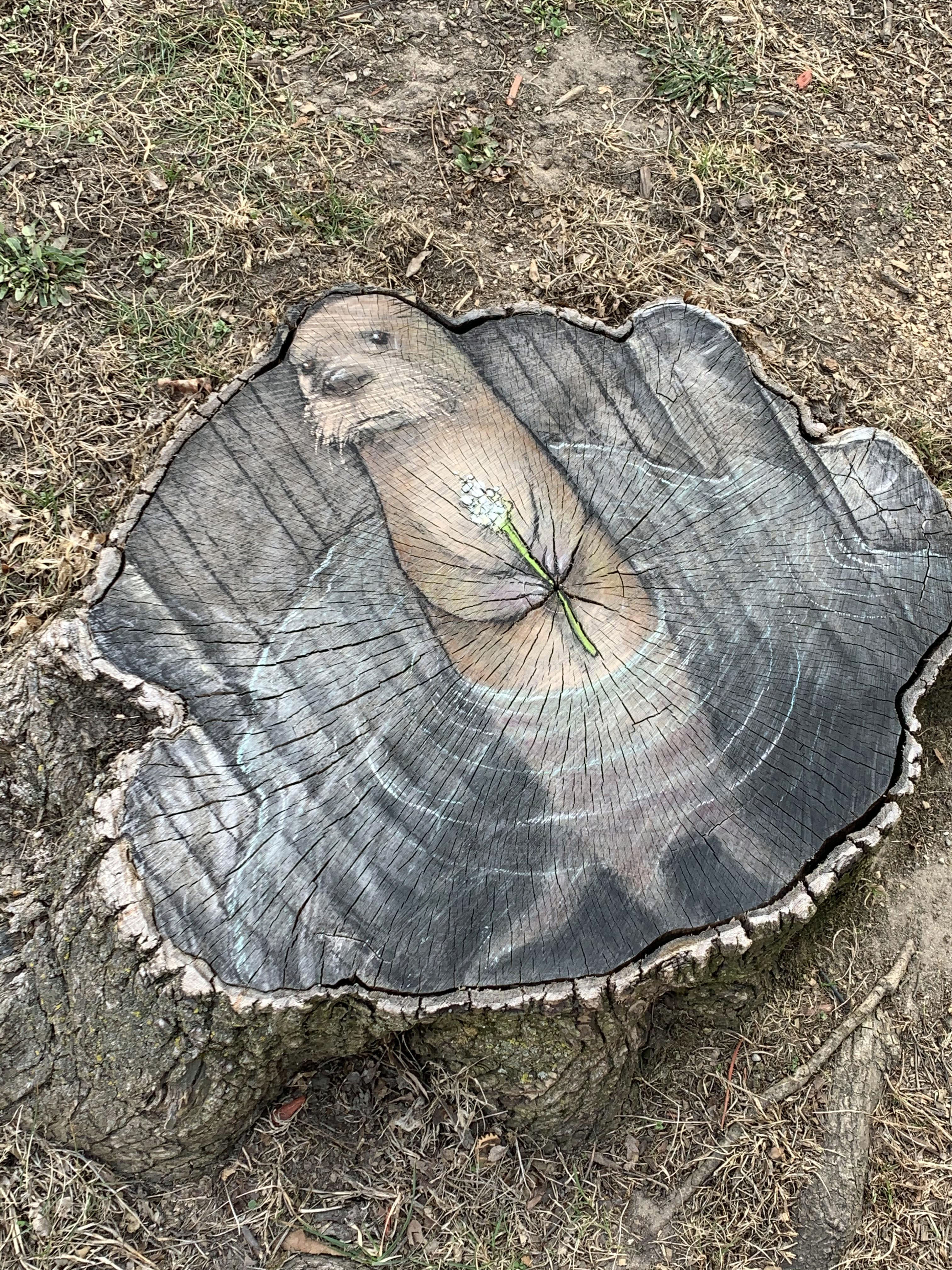 데이비드 진(David Zinn), 미국, 예술가, 1973-현재