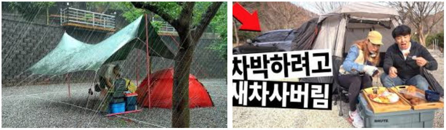 도토리TV Dotori TV