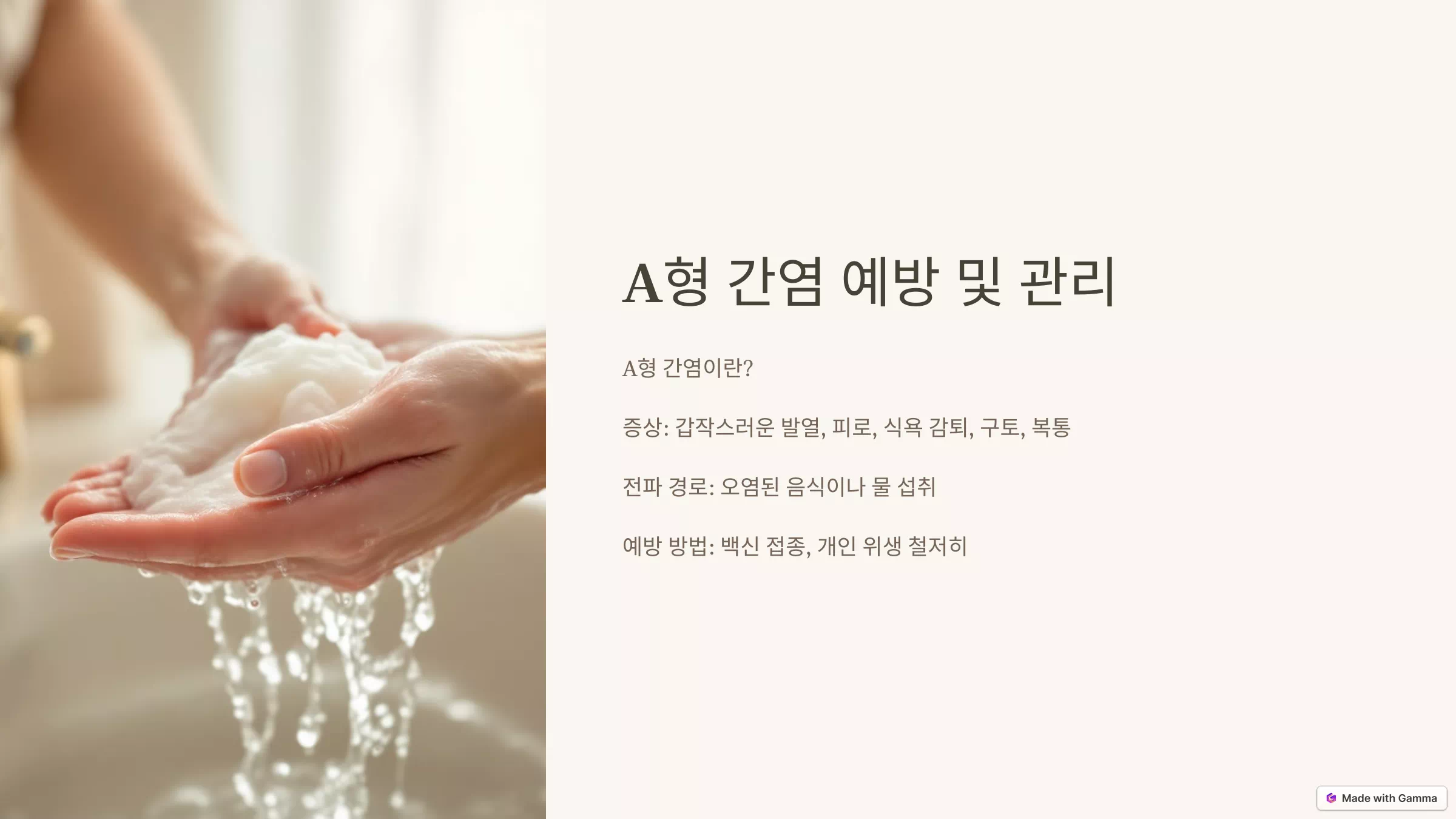 A형 간염 예방 및 관리