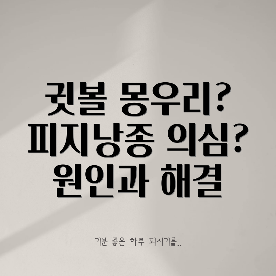 귓볼 피지낭종