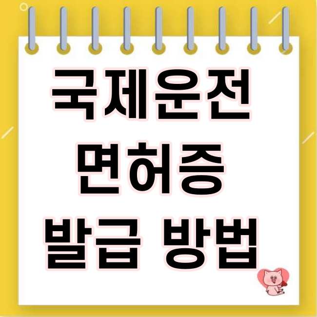  국제운전면허증 발급 방법