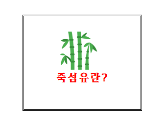  대나무 섬유인 죽섬유에 대해 정리