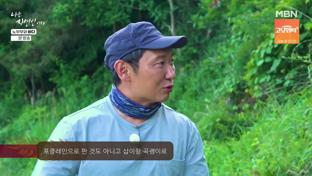 나는 자연인이다.E610.240620p-NEXT.mp4_20240620_193701.049.jpg