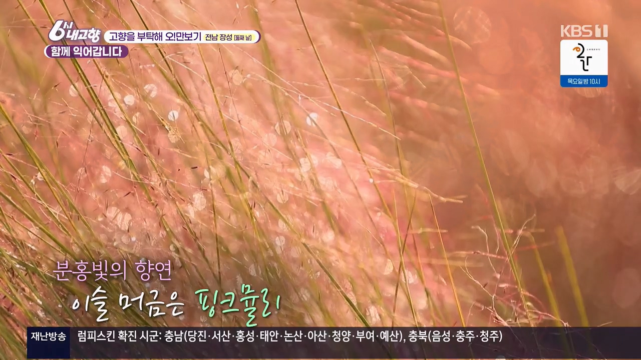 6시 내고향.E7922.231129p.H264-F1RST.mp4_20231129_202552.388.jpg