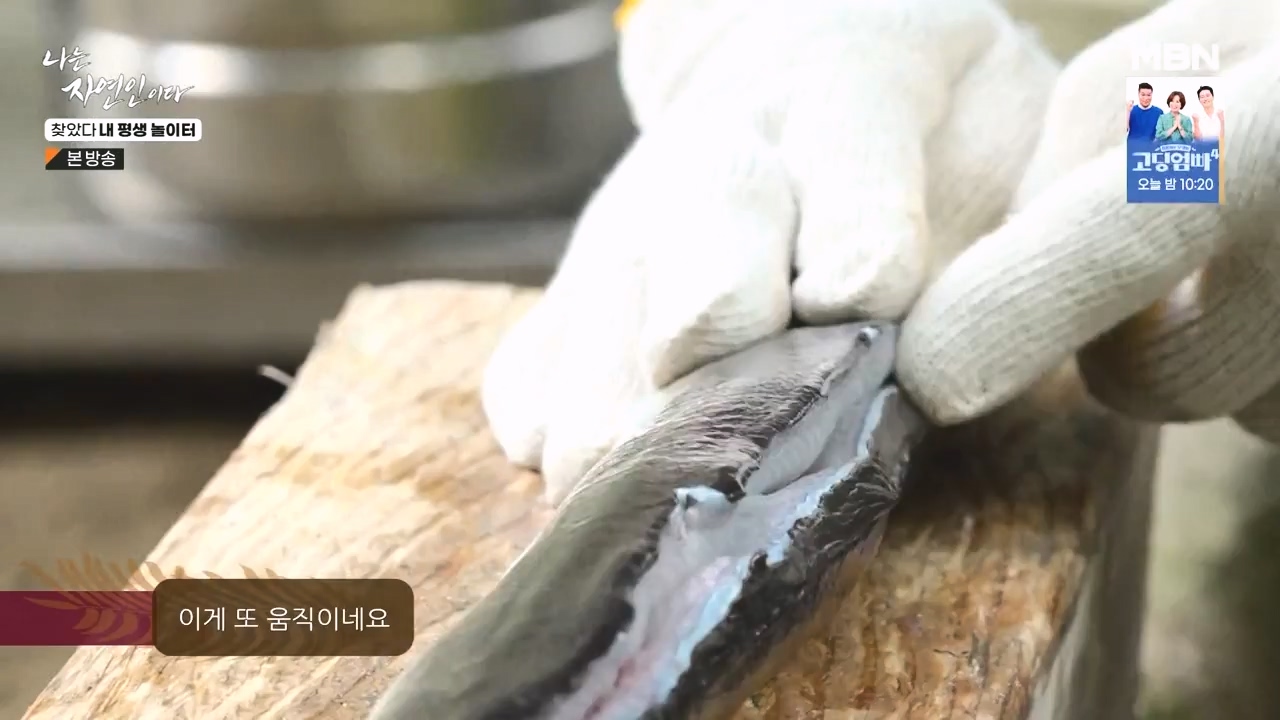 나는 자연인이다.E569.230831p-NEXT.mp4_20230831_201800.474.jpg
