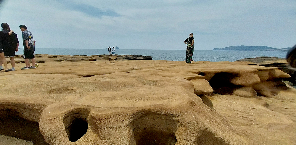 바라던 바다 사계해변