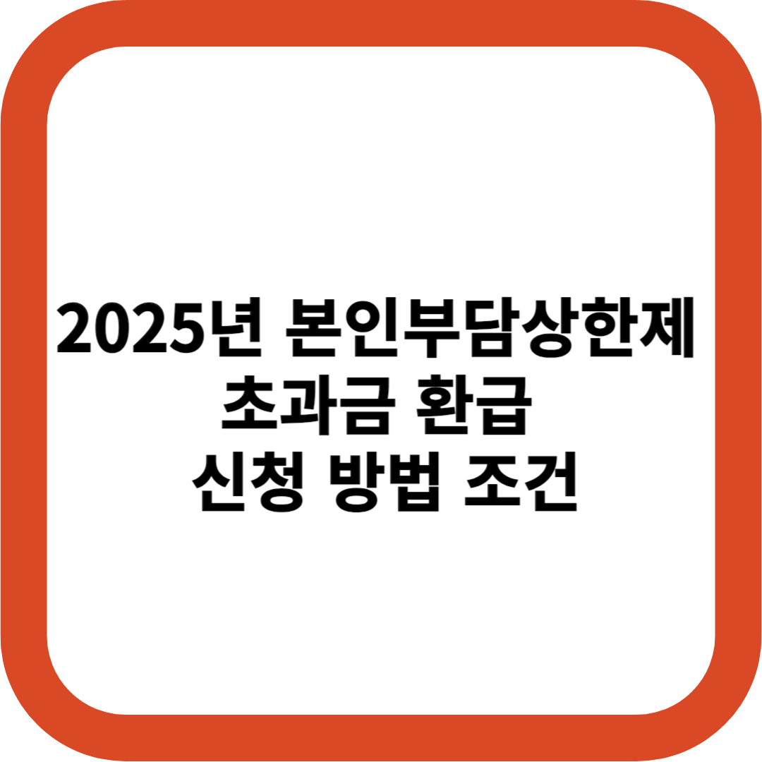 2025년 본인부담상한제 초과금 환급 신청 방법 조건