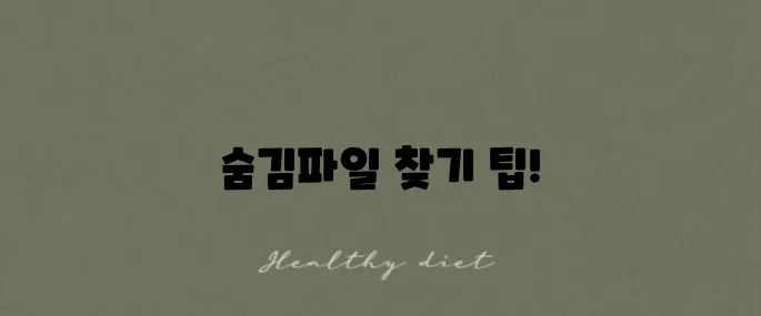 숨김 파일 보기 설정, 간단한 사용법의 모든 것입니다!