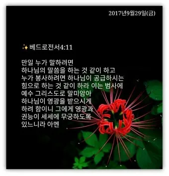 베드로전서 4장 청지기의 비유 성경 묵상_24