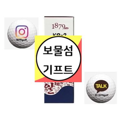  저렴한 저가 2피스 골프공 추천 칼라 인쇄 제공