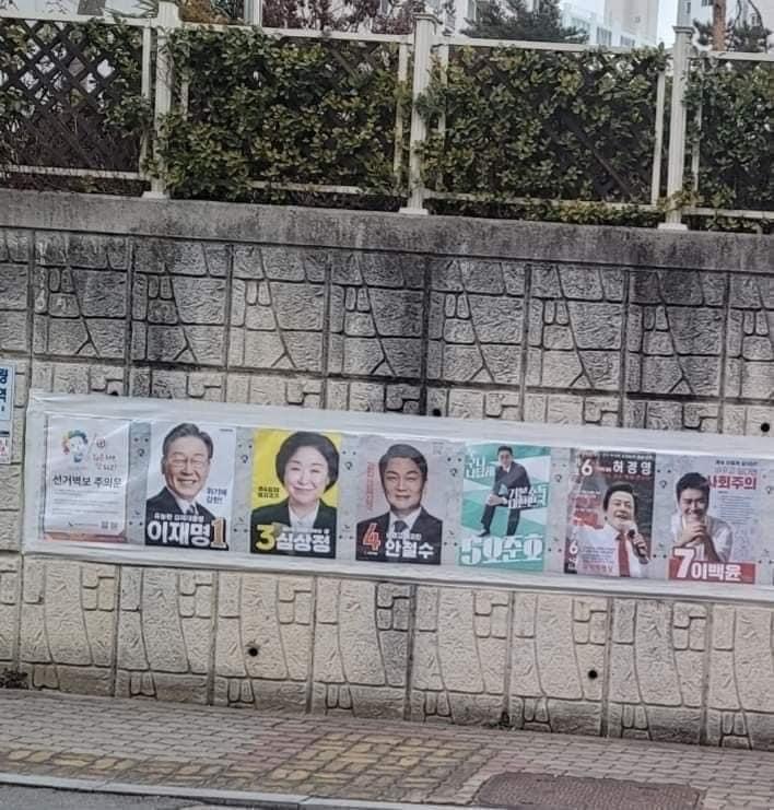 화개중앙로 이미지
