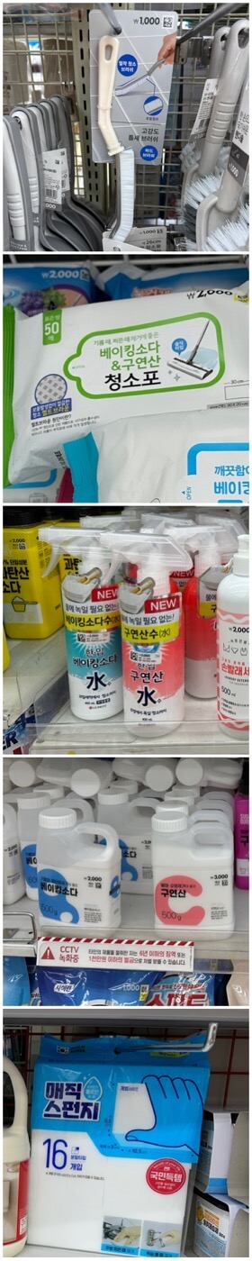 다이소-청소-용품-추천