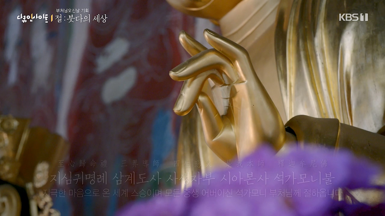 다큐 인사이트.E185.240517p-NEXT.mp4_20240517_202635.834.jpg