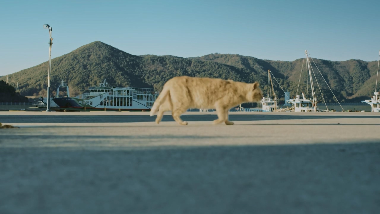 다큐 인사이트.E189.240524p-NEXT.mp4_20240524_205058.671.jpg