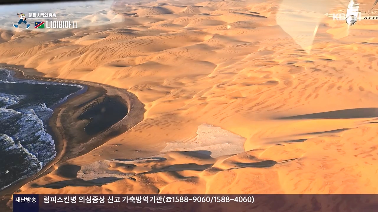 걸어서 세계속으로.E816.231105p-NEXT.mp4_20231104_175442.550.jpg