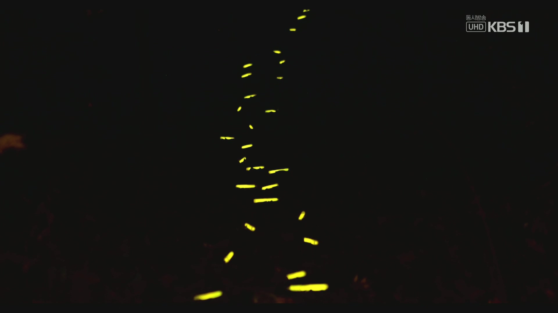 다큐 인사이트.E176.231214p.H264-F1RST.mp4_20231215_203119.802.jpg
