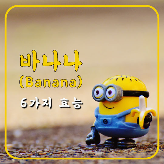  나달이 경기 중에 이것을 먹는 이유? 바나나의 6가지 효능