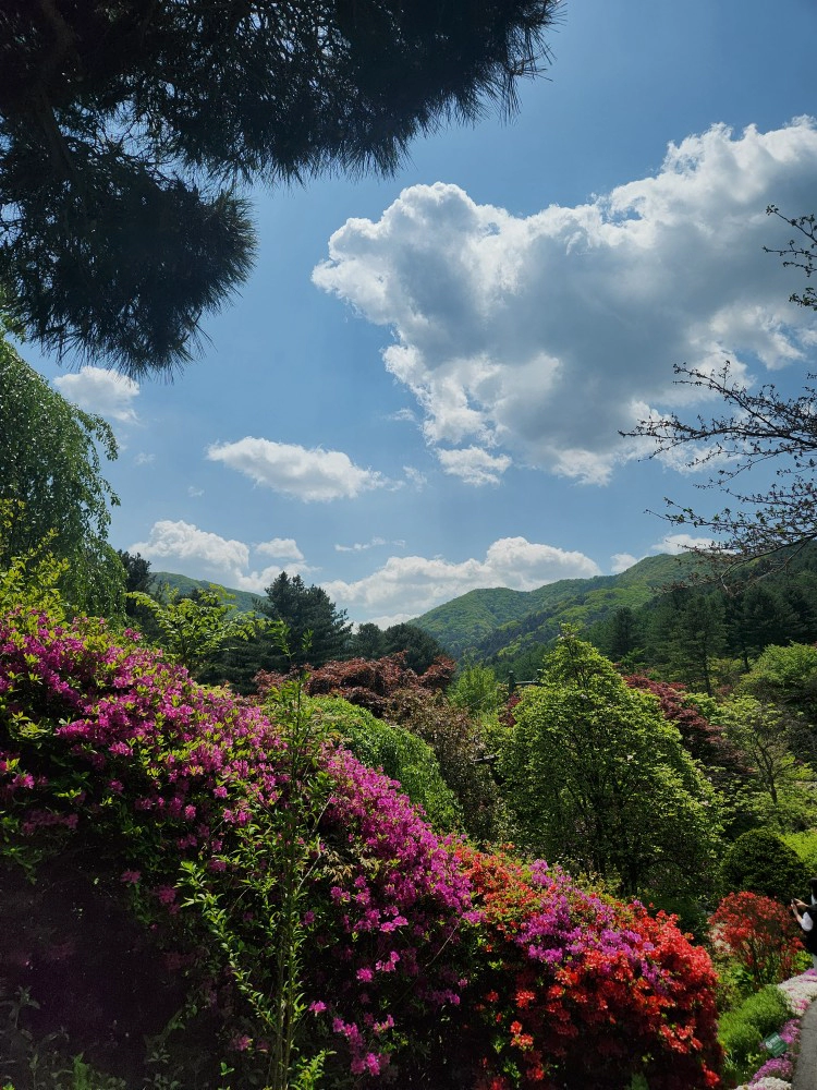 풍경1