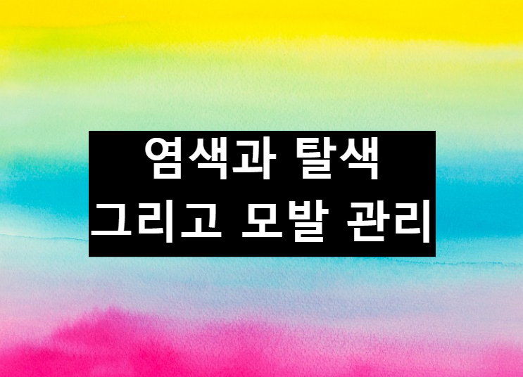  염색 주기와 탈색의 부작용 및 모발 관리 팁