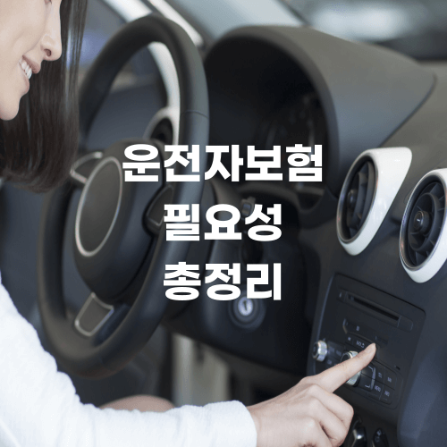  운전자보험 필요성 알아보기