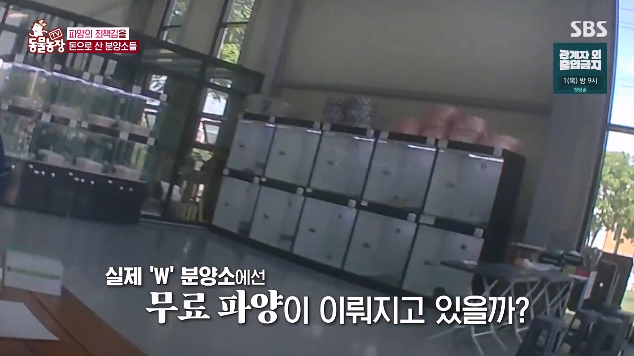 TV 동물농장.E1122.230529p-NEXT.mp4_20230528_170305.663.jpg