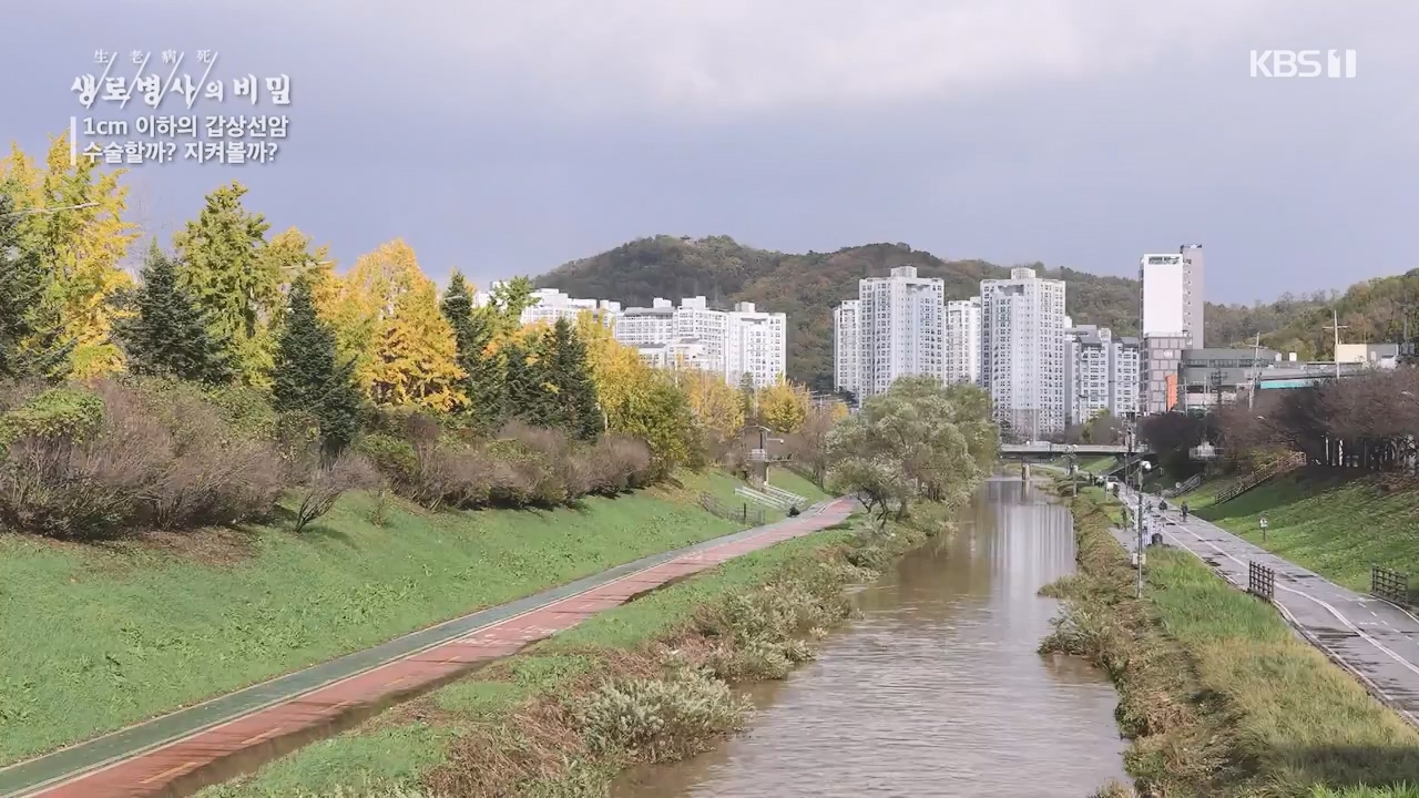 생로병사의 비밀.E894.231228p-NEXT.mp4_20231228_195503.190.jpg