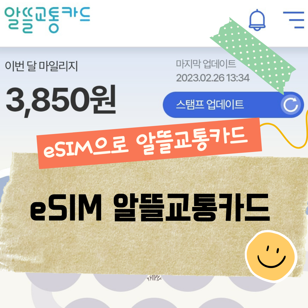 저렴한 eSIM 교통 카드