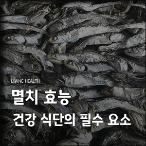  멸치 효능 건강 식단의 필수 요소