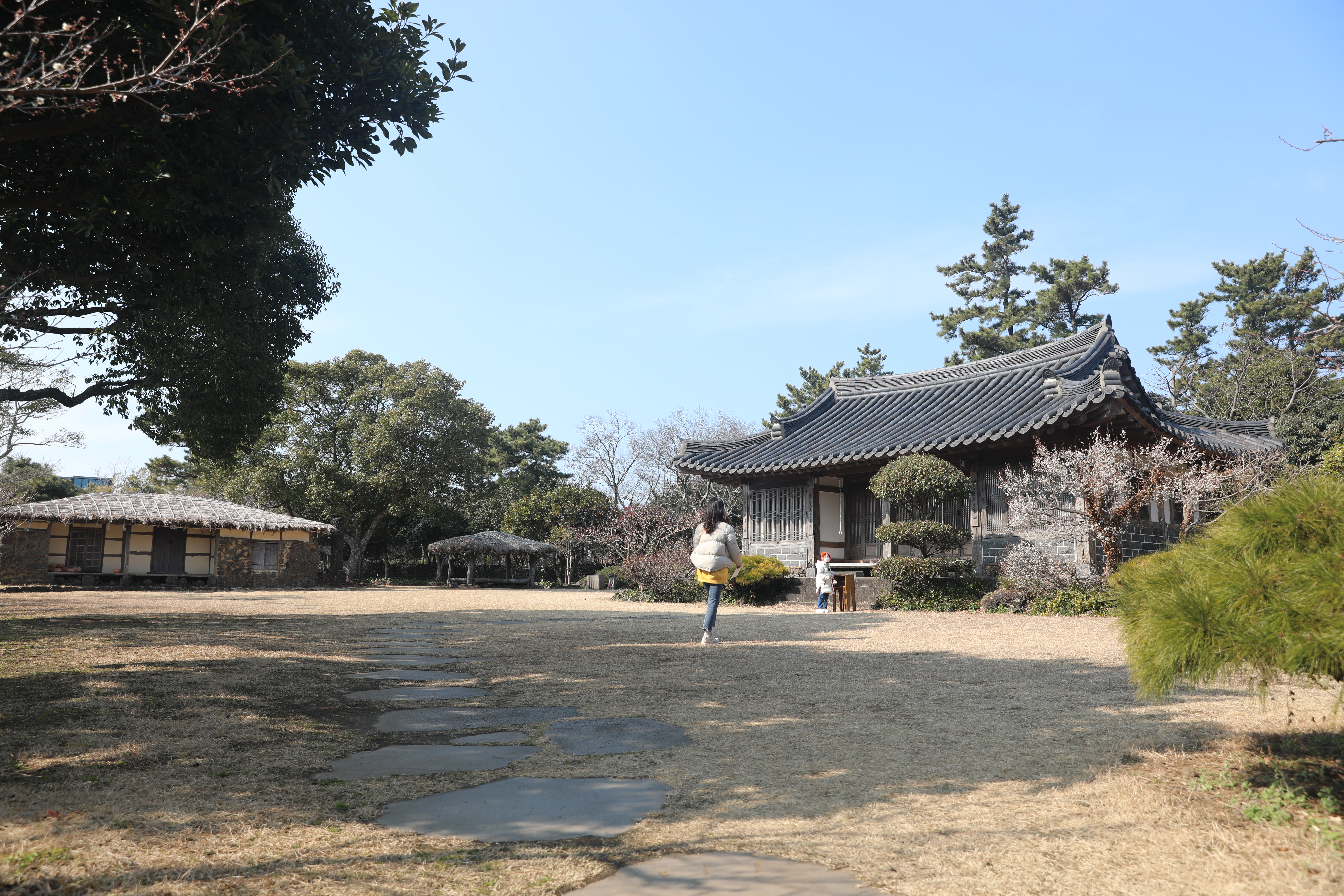 제주 아이와 갈만한 곳 노리매공원 사진명소 웨딩촬영 추천