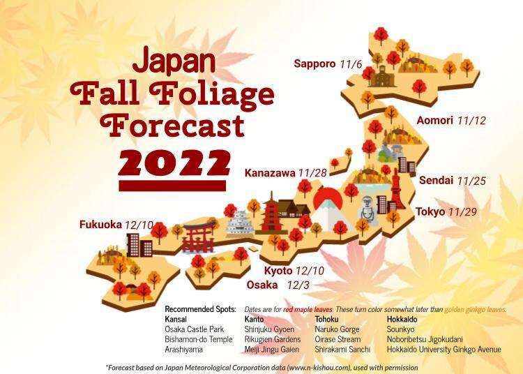오사카 & 교토 단풍 여행장소 추천 BEST 08 일본 단풍시기 실시간 지도 2022