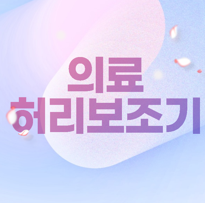  의료 허리 보조기 순위 가격 후기