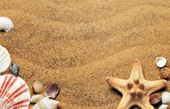 크린토피아 가격표 패딩 운동화 가격