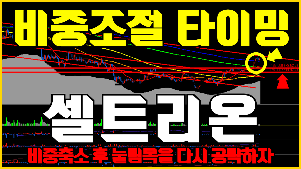  셀트리온 주가 전망 | 비중조절이 중요한 시기 ( 셀트리온 차트분석 , 바이오시밀러 관련주 , 제약바이오관련주 , 셀트리온 실적 )