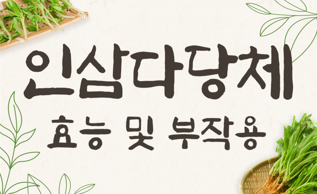 인삼다당체 효능과 면역력 강화