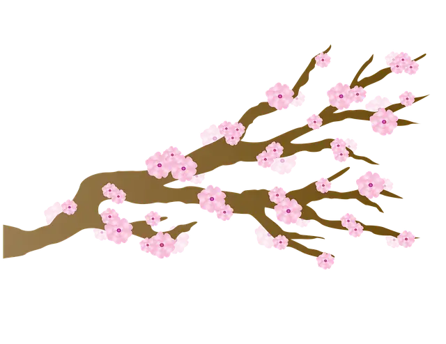 경주 벚꽃축제 
