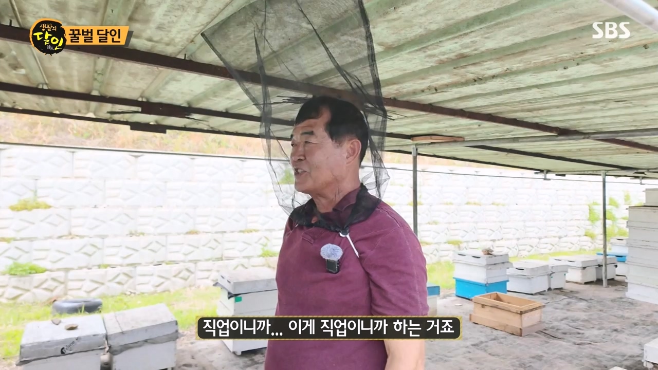 생활의 달인.E937.240528p-NEXT.mp4_20240528_195601.101.jpg