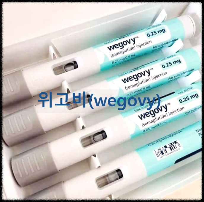  위고비 : 현재 체중감량에 가장 효과가 있다고 알려진 주사형 비만치료제
