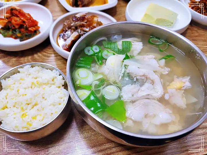 통영 가게 물메기탕 대구탕 해물 갈치탕 지금이 딱 제철 맛집 추천