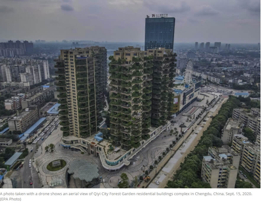  모기 친화 아파트?...참담한 실패로 끝난 중국의 실험적 녹색 주택 프로젝트 VIDEO: Chinese city welcomes another 'vertical forest' in concrete jungle