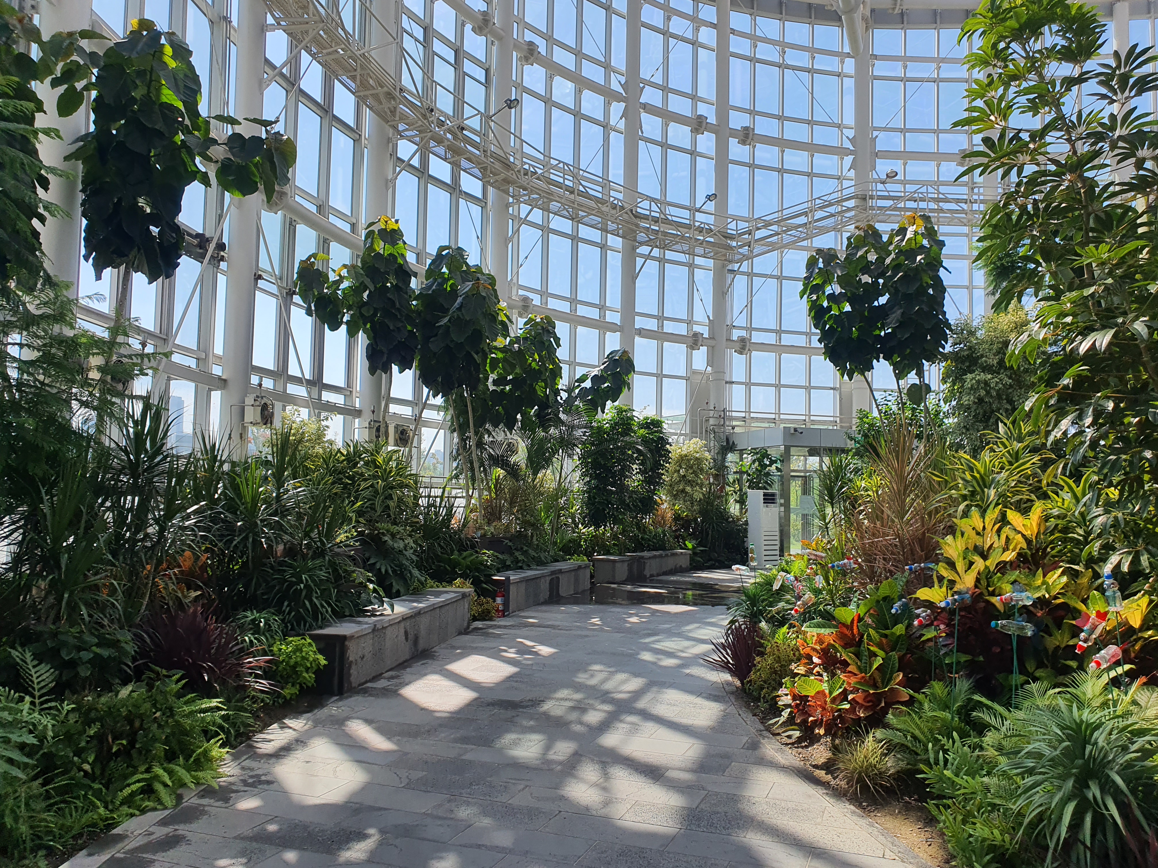 국립세종수목원 야간 개장 이용 안내 할인 혜택 세종 가볼만한 곳