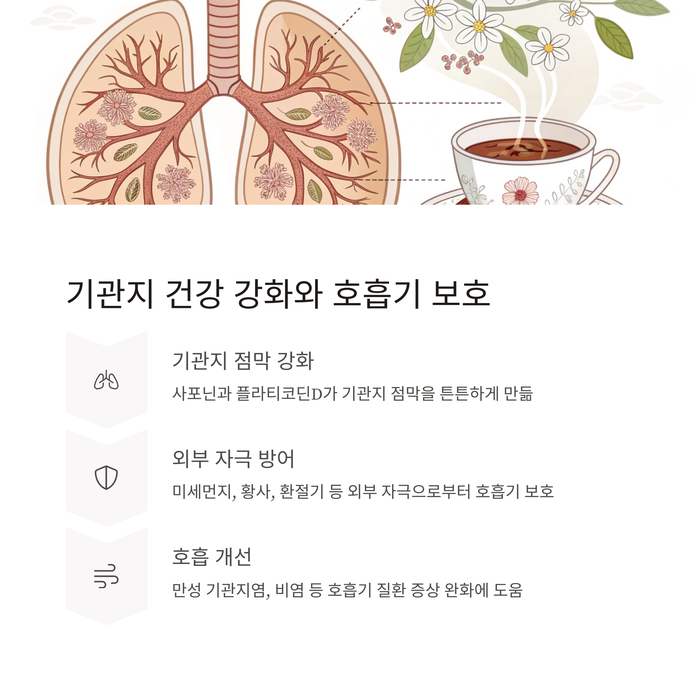 도라지차