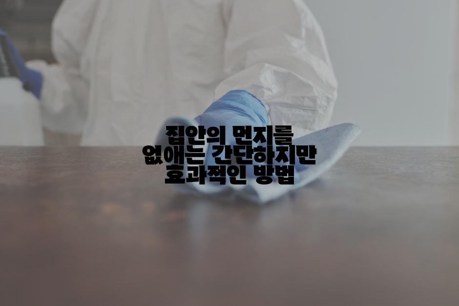 집안의 먼지를 없애는 간단하지만 효과적인 방법